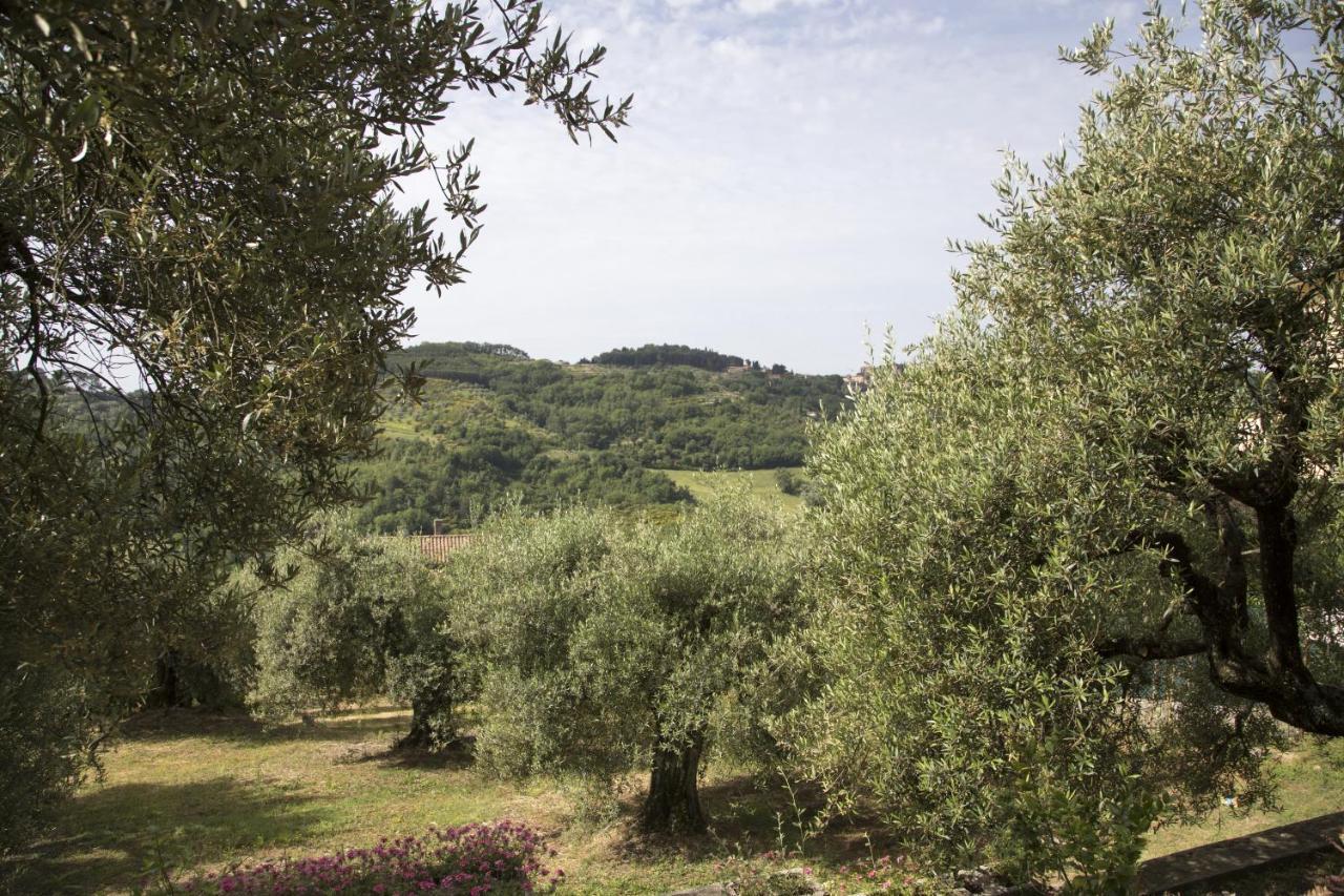 Casa Mia -per Sentirti A Casa Tua - Giardino, Parcheggio E Jacuzzi Perugia
