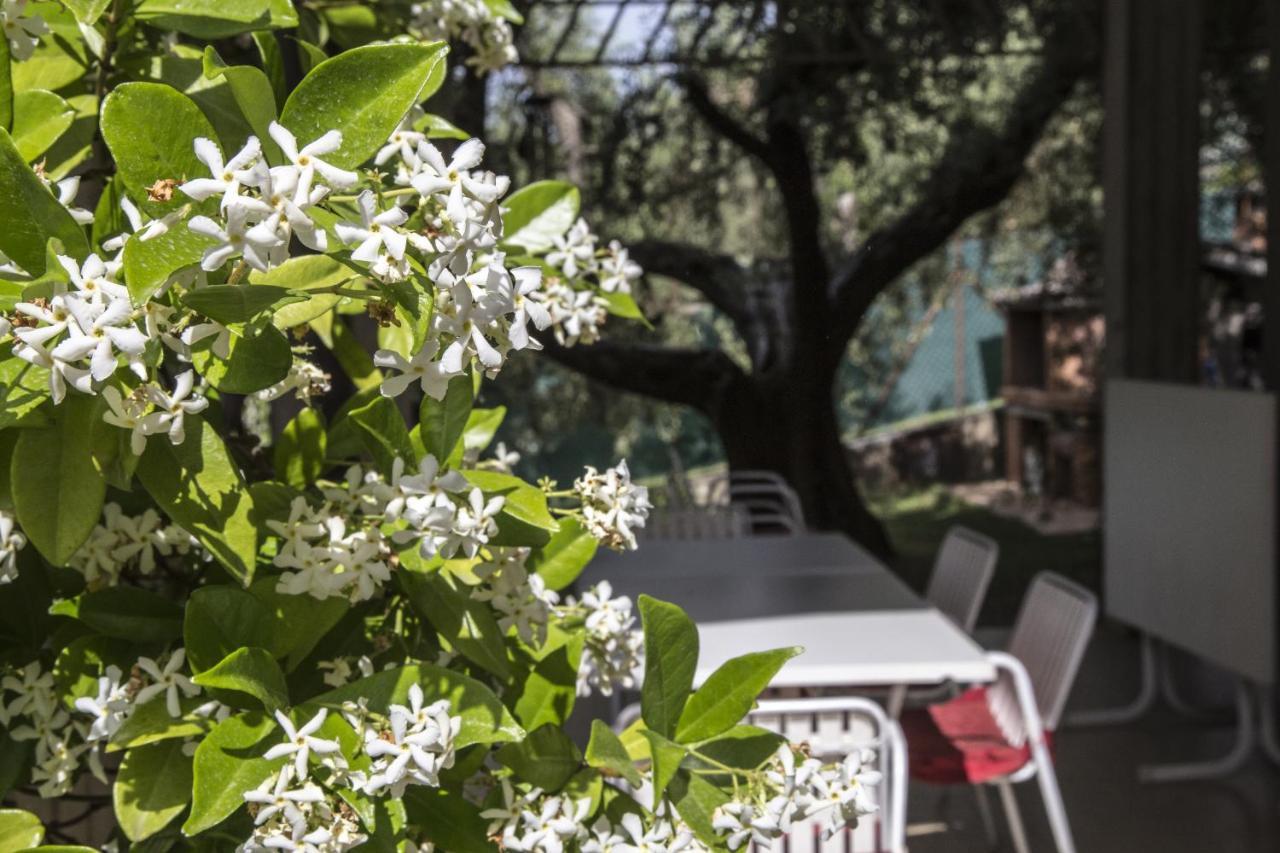 Casa Mia -per Sentirti A Casa Tua - Giardino, Parcheggio E Jacuzzi * Perugia